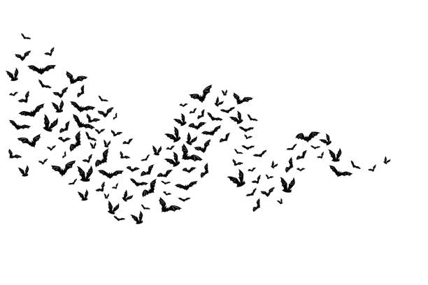 Halloween flying bats. Decoration element from scattered silhoue Halloween flying bats. Decoration element from scattered silhouettes. Horizontal wavy path bats stock illustrations