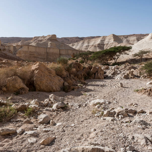 istock Stone desert in Israel 846671764