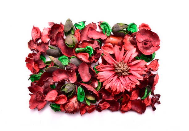 istock Colorful dried flowers 846672126