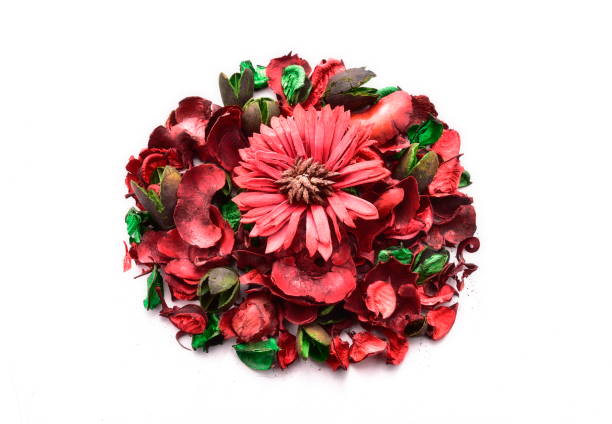 istock Colorful dried flowers 846674282