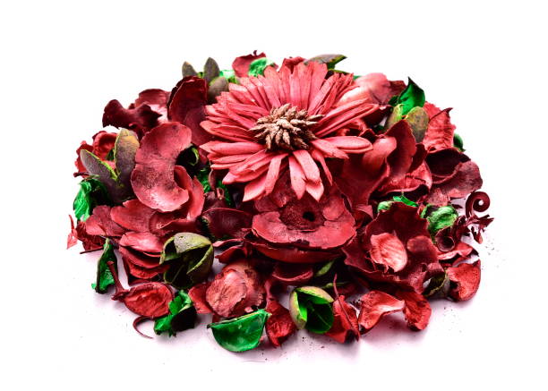 istock Colorful dried flowers 846674370