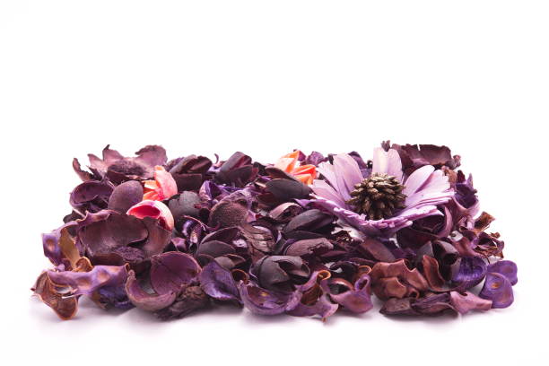 istock Colorful dried flowers 846674468
