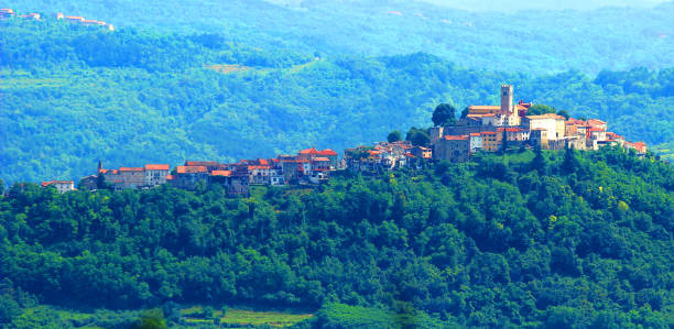 istock Motovun panorama, Istria, Croatia 846674612