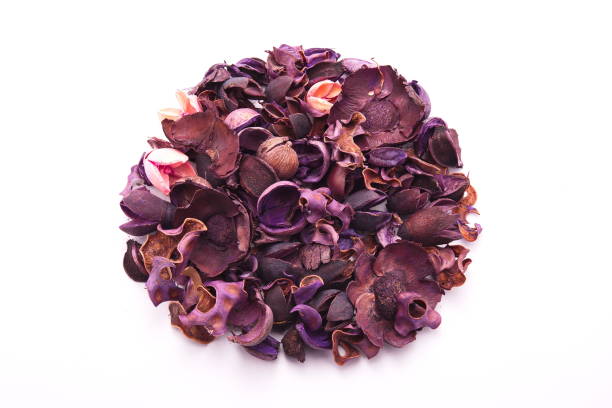 istock Colorful dried flowers 846674632