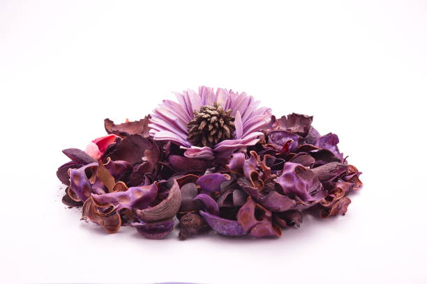 istock Colorful dried flowers 846674672