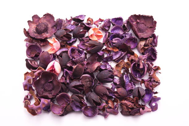 istock Colorful dried flowers 846674746