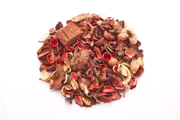 istock Colorful dried flowers 846675056