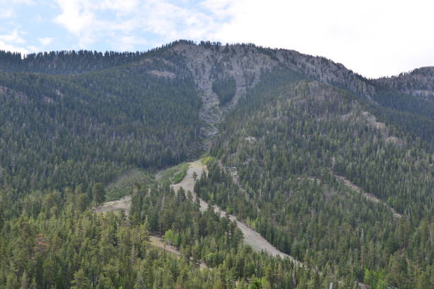 istock Mount Charleston in Nevada USA. 846686308