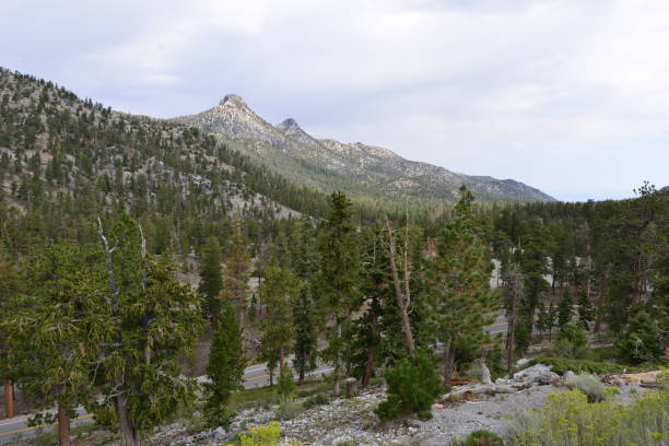 istock Mount Charleston in Nevada in Fall. 846690024
