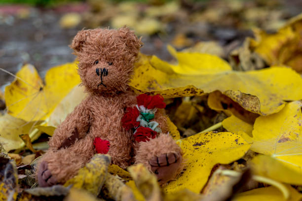 istock Teddy bear sitting in autumn leaves 846692450