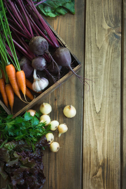istock Harvest fresh vegetables from carrot, beetroot, onion, garlic on old wooden board. Top view, rustic style. Autumn still life. Gardening. Copy space. 846693202