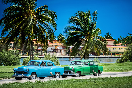 Varadero: HDR - Cuban man waiting in his american blue and green Chevrolet classic car parked in line under palms in Varadero Cuba - Serie Cuba Reportage