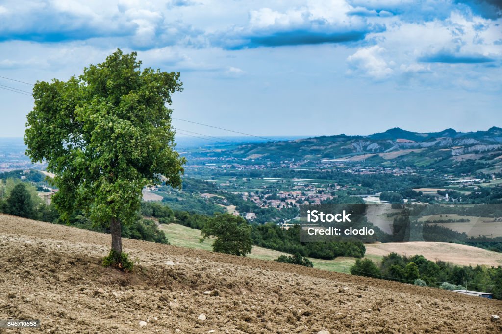 Summer landscape of the Panaro valley (Modena) View of the Panaro valley (Modena, Emilia Romagna, Italy) at summer Agricultural Field Stock Photo