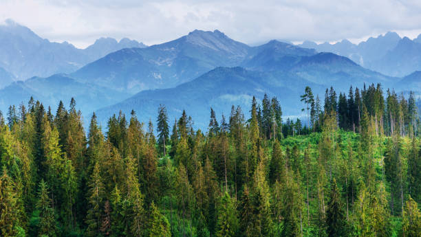 istock Fantastic snow-capped mountains in the beautiful cumulus clouds 846711302