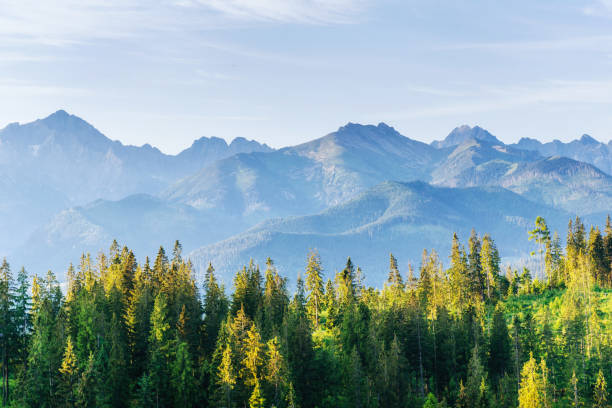 istock Fantastic snow-capped mountains in the beautiful cumulus clouds 846711398