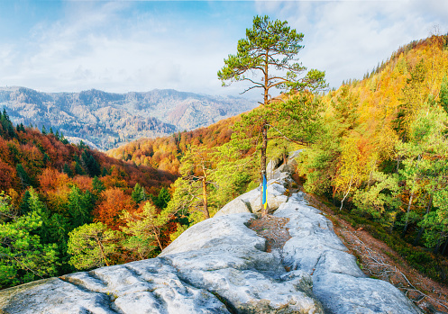 Rago national park in autumn, beautiful seasonal colours.