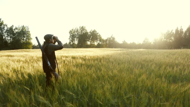 Hunter rises binoculars at golden hour