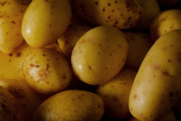 patatas en fondo negro - low key lighting flash fotografías e imágenes de stock