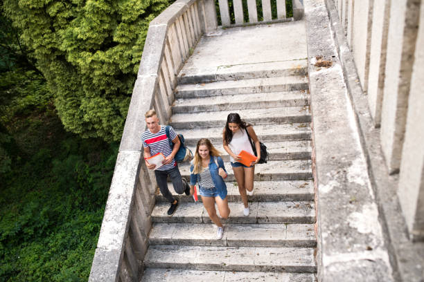 十代の学生の上を歩いて石大学玄関前の階段です。 - staircase steps education stone ストックフォトと画像