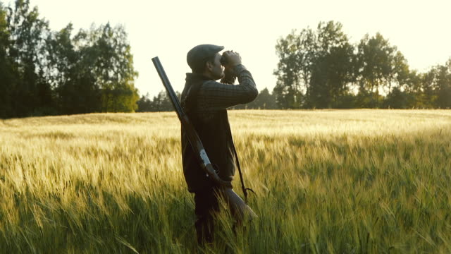 Hunter rises binoculars at golden hour