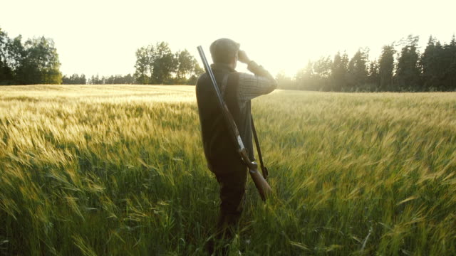 Hunter rises binoculars at golden hour (slow motion)