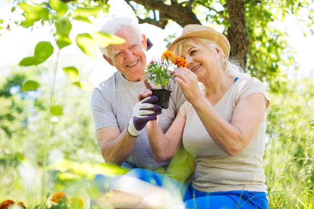 istock Senior couple gardening 846743268