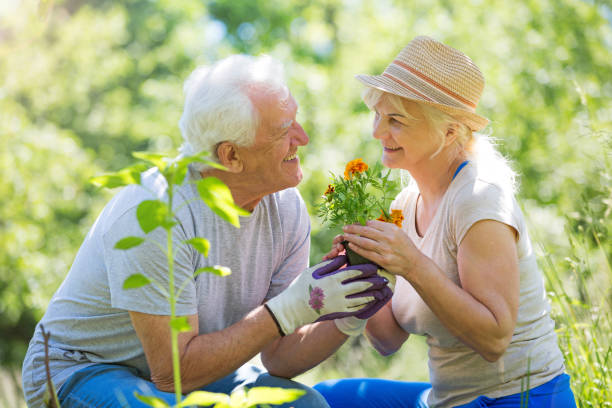 istock Senior couple gardening 846743390