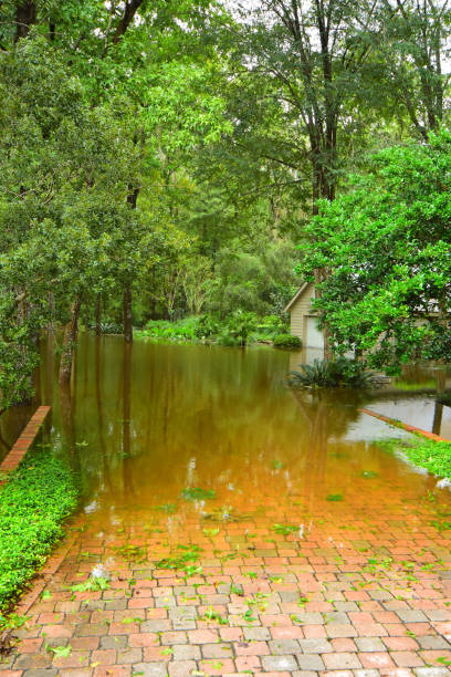 홍수 물 아래 차도에 멀어지는 물과 나무 파편 - receeding 뉴스 사진 이미지