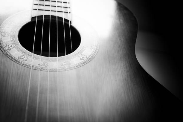 istock Guitar Body on black and white tone color 846760000