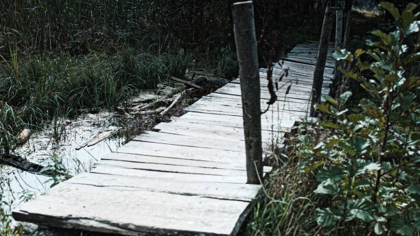 istock Wooden bridge over creek 846766280