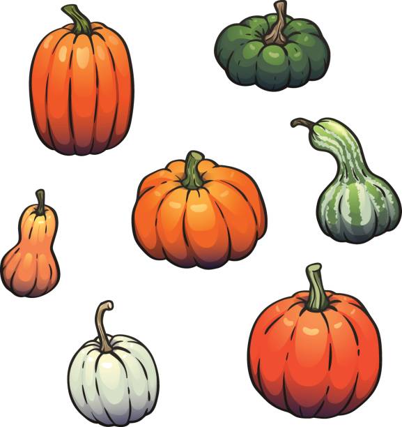ilustrações de stock, clip art, desenhos animados e ícones de vector isolated collection of pumpkins, gourds different types, shapes and sizes - cushaw