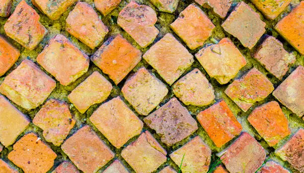 Photo of Wall made of stone or brick in the archaeological ruins of the ancient Roman town Velia, Campania. Italy