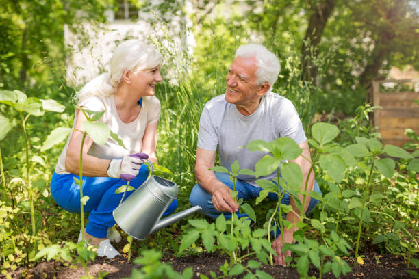 istock Senior couple gardening 846770358