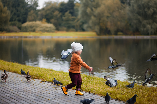 Little girl running, flaunts the pigeons on the street in town.