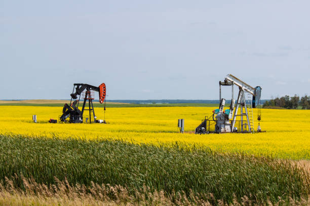 due pozzi d'olio in un campo di canola giallo brillante - manitoba prairie landscape canada foto e immagini stock