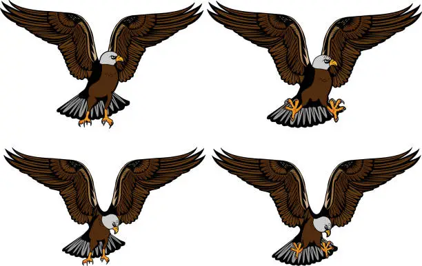 Vector illustration of Image of an eagle with a different arrangement of paws and heads for your print design and the Internet. Vector illustration.