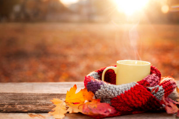 istock Tea mug and warm red scarf with fallen leaves 846774920