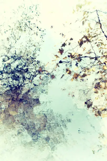 Photo of Bright soft abstract autumn leaves and branches with water reflection