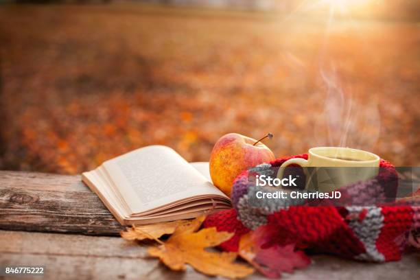 Taza De Té Con Libro Abierto Cálida Bufanda Y Manzana Foto de stock y más banco de imágenes de Otoño