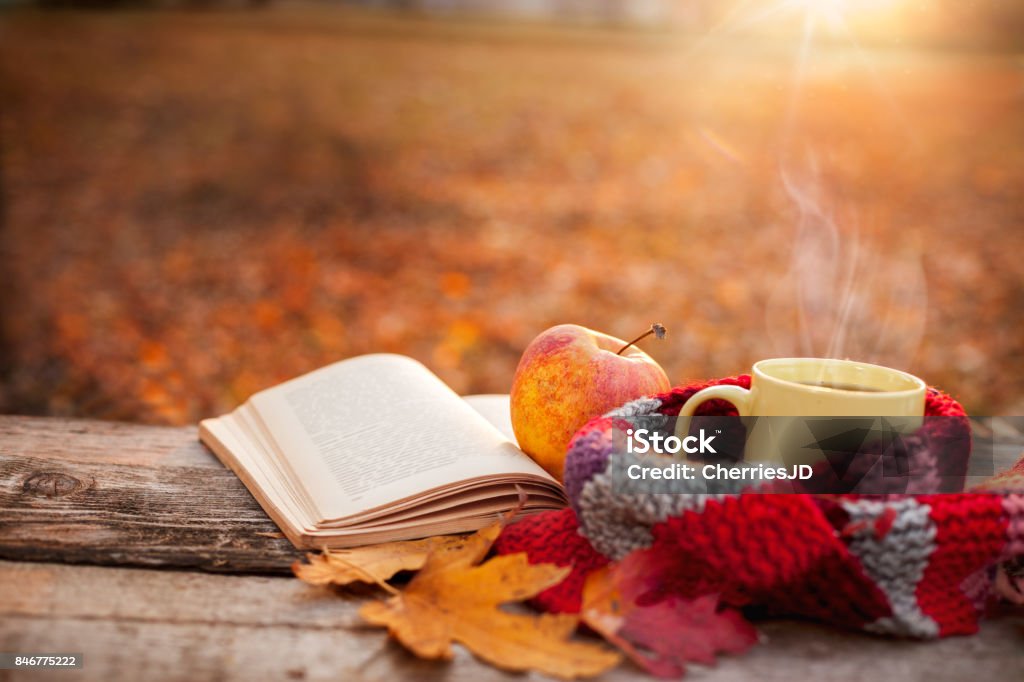 Tea mug with warm scarf open book and apple Tea mug with warm scarf open book and apple on wooden surface Autumn Stock Photo