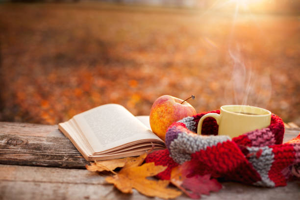 tea mug with warm scarf open book and apple - autumn season imagens e fotografias de stock