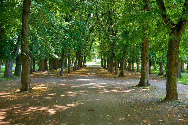 istock Green Park in Oslo 846776712