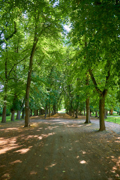 istock Green Park in Oslo 846776756