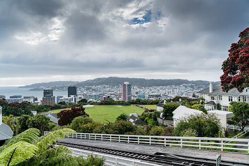 Overlooking Wellington, New Zealand’s capitol, you can see Wellington Harbour, Mount Victoria in the distance and the bustling business and cultural district.