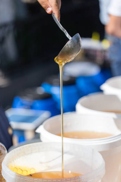 istock the beekeeper sells honey in the market 846800546