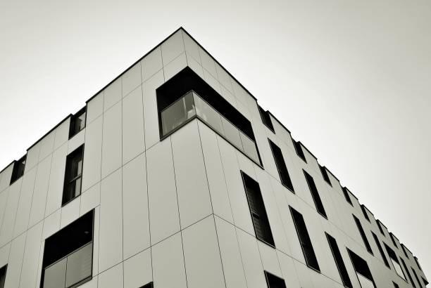 istock Modern, Luxury Apartment Building. Black and white. 846811720