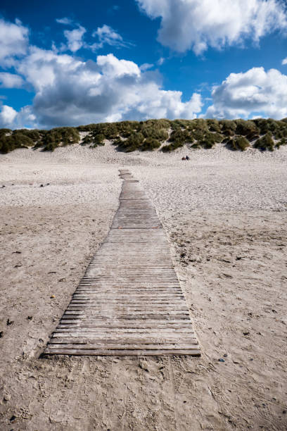 Dunes with pathway at the Danish North Sea coast in Henne