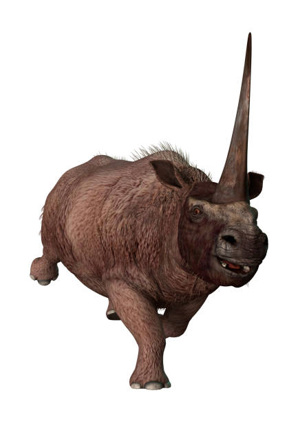 istock 3D Rendering Rhinoceros Elasmotherium on White 846815850