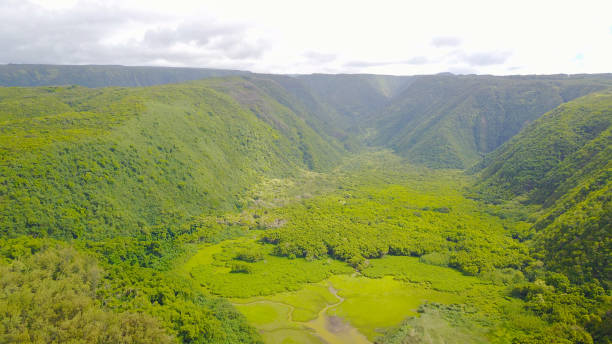 istock Hawaii big island bird eye view over Polol Valley 846819660
