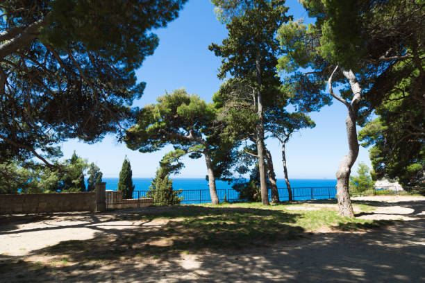 Lights and shadows inside Gradac Park in Dubrovnik